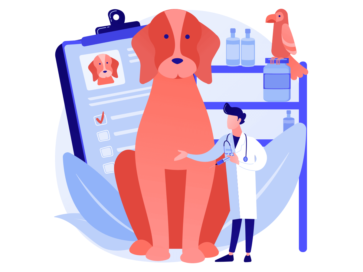 What is Pet Insurance insurance